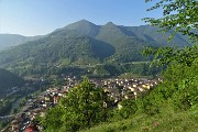 Monte Zucco (1232 m) da casa-Zogno (300 m) ad anello sui sent. CAI-505 e 505A il 16 maggio 2019 - FOTOGALLERY